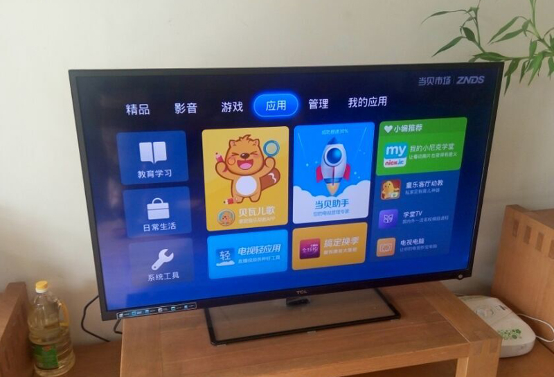 TCL L48E5310A-3D